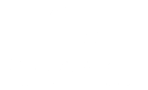 OtsoSmart Logotyp Vit